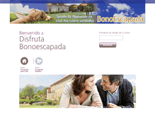 Tablet Screenshot of disfrutabonoescapada.com